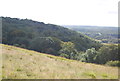 North Downs - wooded scarp slope