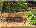 Autumn seat, Musgrave Park, Belfast (October 2014)