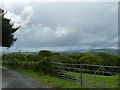 Track to Higher Wallaford Farm, near Buckfast