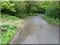 The Greensand Way on Lughorse Lane