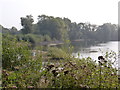 Whelford Pools Nature Reserve