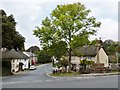 Looking down Rectory Road. The road to Charminster, Piddlehinton