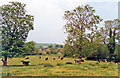 Wylye Valley from A36 road east of Wylye, 1994