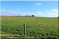 Farmland at Newbyre