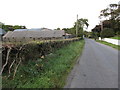 Farm sheds alongside Woodgrange Road