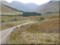 West Highland Way near Auch