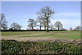 SP0676 : Oaks near Headley Heath by Robin Stott