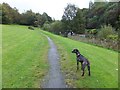 Pathway by the River Kelvin