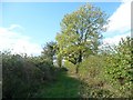 Public footpath to Aikhead