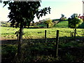 Belragh Townland