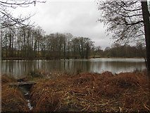 TQ5734 : Lake in Eridge Old Park by Matthew Chadwick
