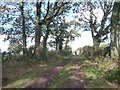 Public footpath from Longhead Farm