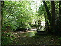 Footbridge over Holy Brook, near Mill Leat, Scorriton