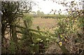 Stile and field near Home Farm