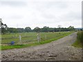 Fryern Court, horse grazing