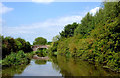 Trent and Mersey Canal approaching Stone, Staffordshire