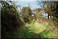 Track leading up Fenham Hill