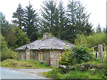T1495 : Abandoned cottage near Laragh by Oliver Dixon