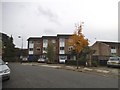 Houses on Conway Road, Southgate