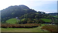 Moel y Golfa from below Middletown Hill