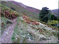 On the path to Boredale Hause