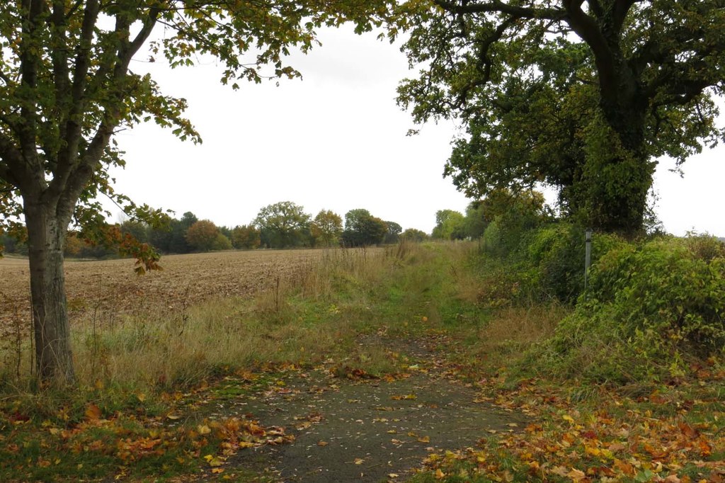 The Salt Way to Stonesfield © Steve Daniels cc-by-sa/2.0 :: Geograph ...