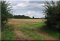 Footpath off Coldharbour Lane