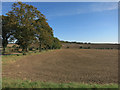 Farmland by Hodenhoe Manor