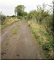 Farm track, The House on the Hill