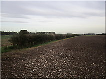SE9938 : Field boundary off Burton Gates by Jonathan Thacker