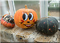 Pumpkins in the Conservatory, Myddelton House Garden, Enfield