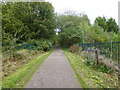 Watford Bridge on the Sett Valley Trail