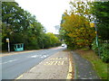 Bus stops on Barkham Road