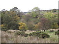 SD7045 : Across Bashall Brook to Hareclough Farm by Robin Petty