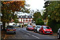 Start of the autumn leaves in Oakfield Road