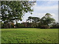 Hall Farm seen from the churchyard