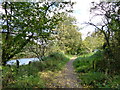 Footpath beside the River Wye, following the course of an old railway