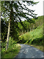 SN7664 : Forestry road south-east of Strata Florida, Ceredigion by Roger  Kidd