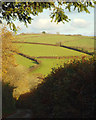SX7951 : Lane by Higher Wood Farm by Robin Stott