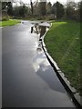 Puddles on the paths in St Nicholas Park