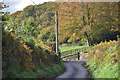 West Somerset : Marsh Hill