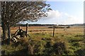 An ancient broch site on the flood plain of the River Tirry