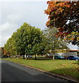 Queensway autumn colours, Banbury