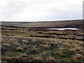 NY9345 : Moorland west of Burnhead Dam by Andrew Curtis