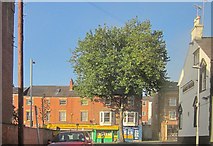 SK5740 : Mansfield Road, Nottingham by Derek Harper