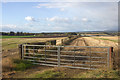 Gate into a field north of Guildtown