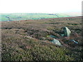 SD9922 : Rocks on Higher House Moor by Humphrey Bolton