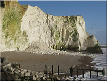 TV4898 : Cliff fall at Seaford by Peter Whitcomb