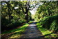 Path through Maryon Wilson Park