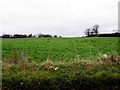 Pubble Townland